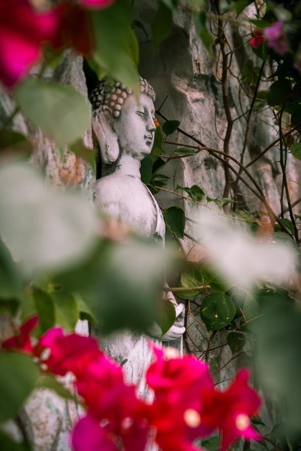 Zen Garden Tamarindo - Adults Only酒店 外观 照片